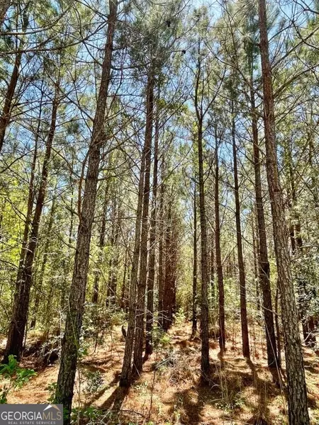 0 Harry Priddy RD, Americus, GA 31719