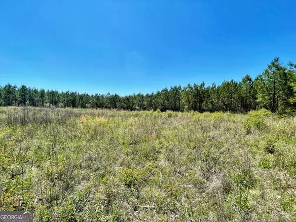 Americus, GA 31719,0 Harry Priddy RD