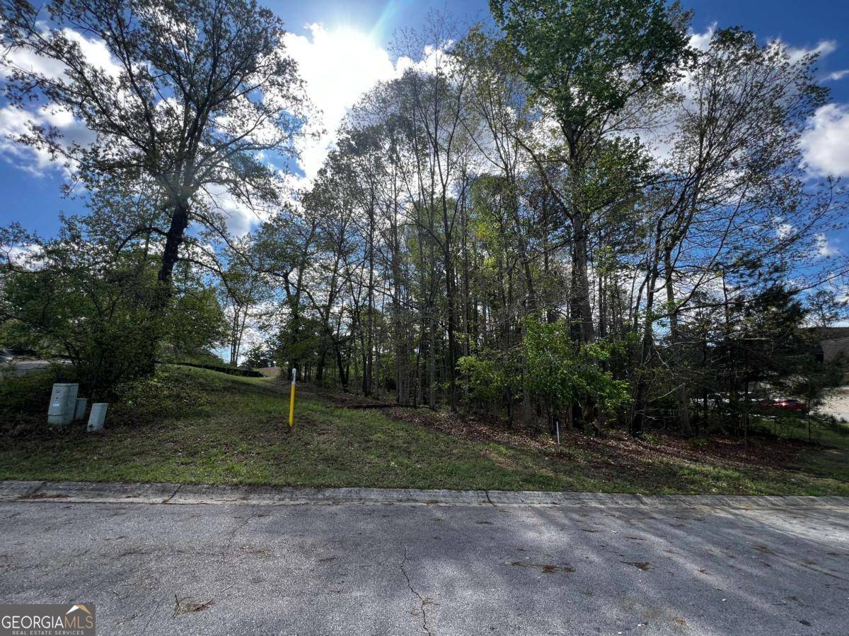 Villa Rica, GA 30180,1036 Overlook DR