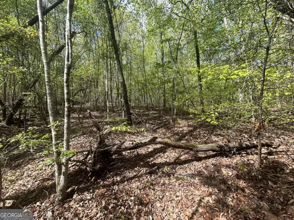 0 Shore Crest DR #LOT 12, Martin, GA 30557