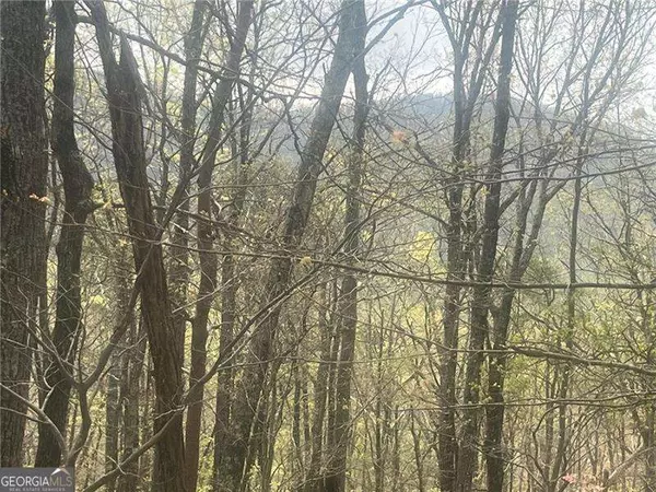 Jasper, GA 30143,0 Bee Tree Ridge