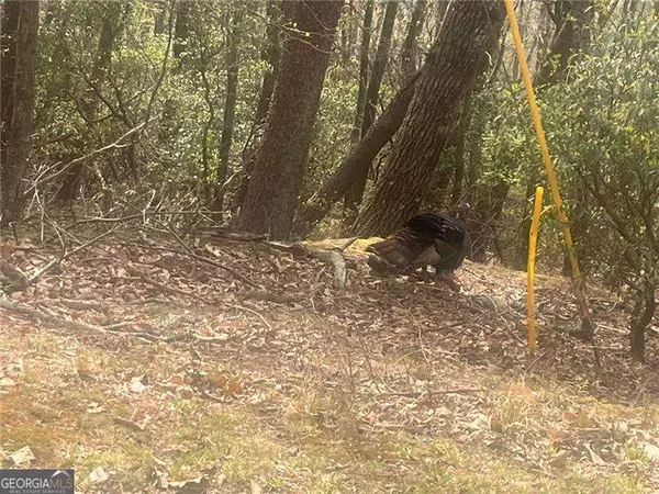Jasper, GA 30143,0 Bee Tree Ridge