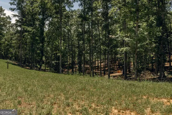Morganton, GA 30560,LT 133 Ridges Of Blue Ridge