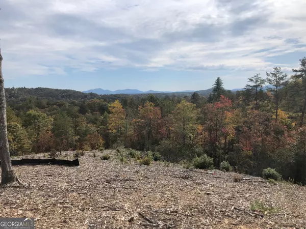 0 Mountain Laurel Ridge, Mineral Bluff, GA 30559