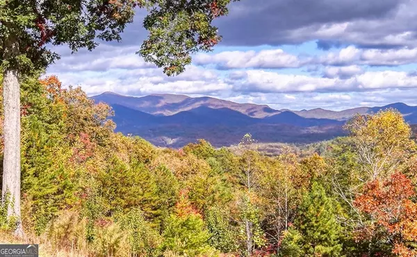 Blairsville, GA 30512,170 High Vista