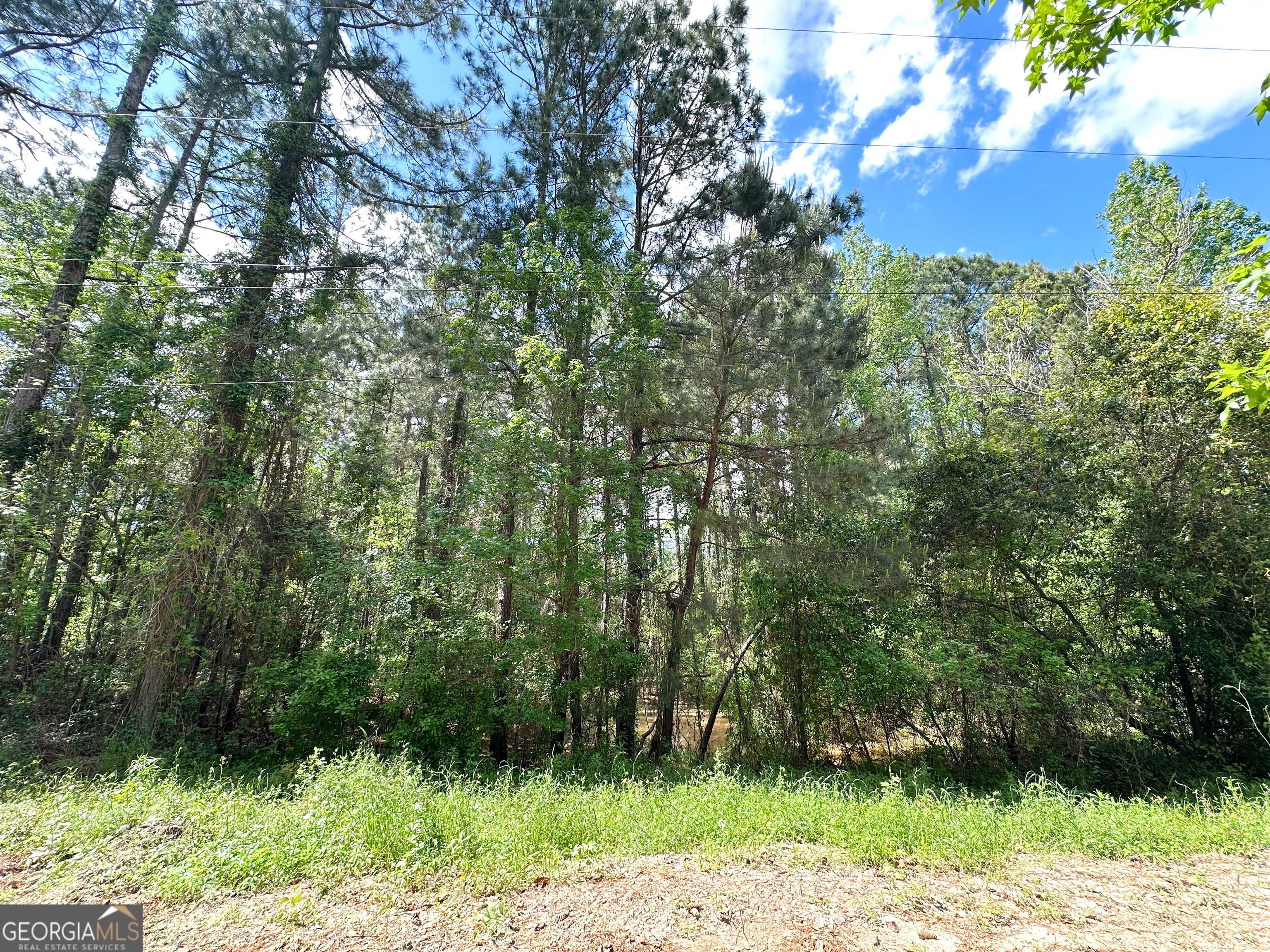 Eastman, GA 31023,141 Wilson Woodard RD