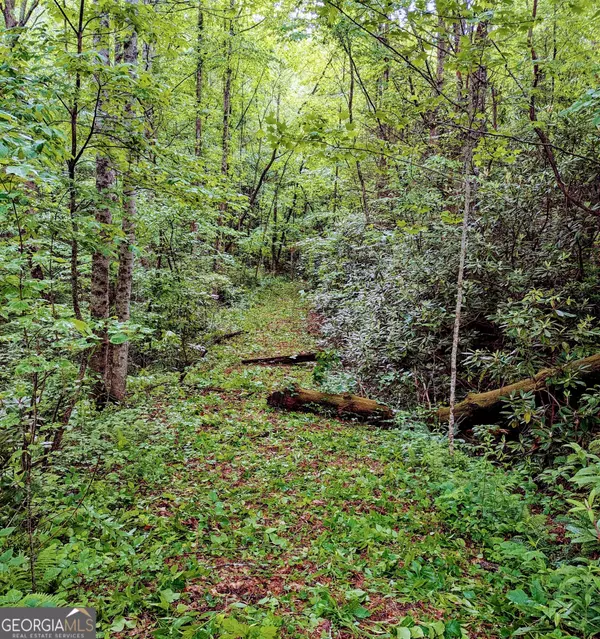 Rabun Gap, GA 30568,0 Crest LN #LOT 6