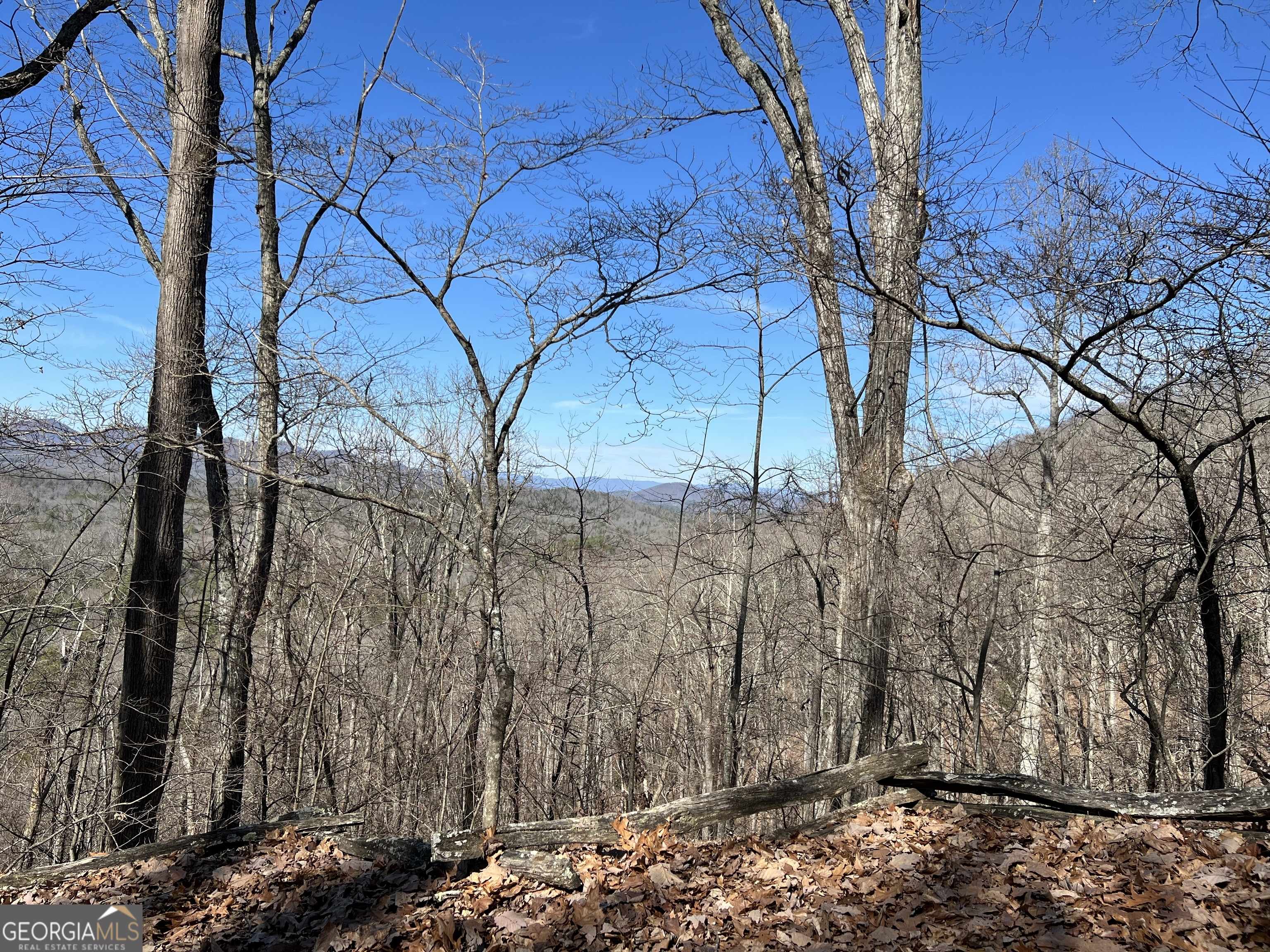 Mineral Bluff, GA 30559,32 Raven Ridge