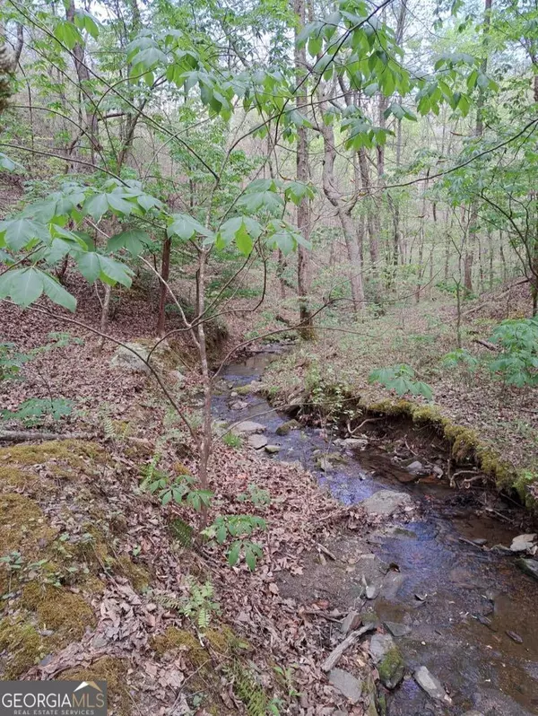 Ranger, GA 30734,1057 Mayfield LN NE