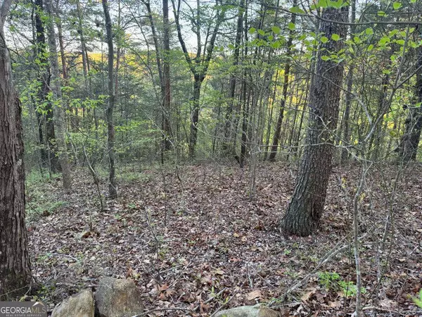 Ranger, GA 30734,1057 Mayfield LN NE