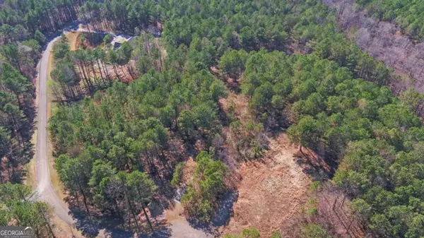 Ellijay, GA 30540,L 29&30 Eastside DR