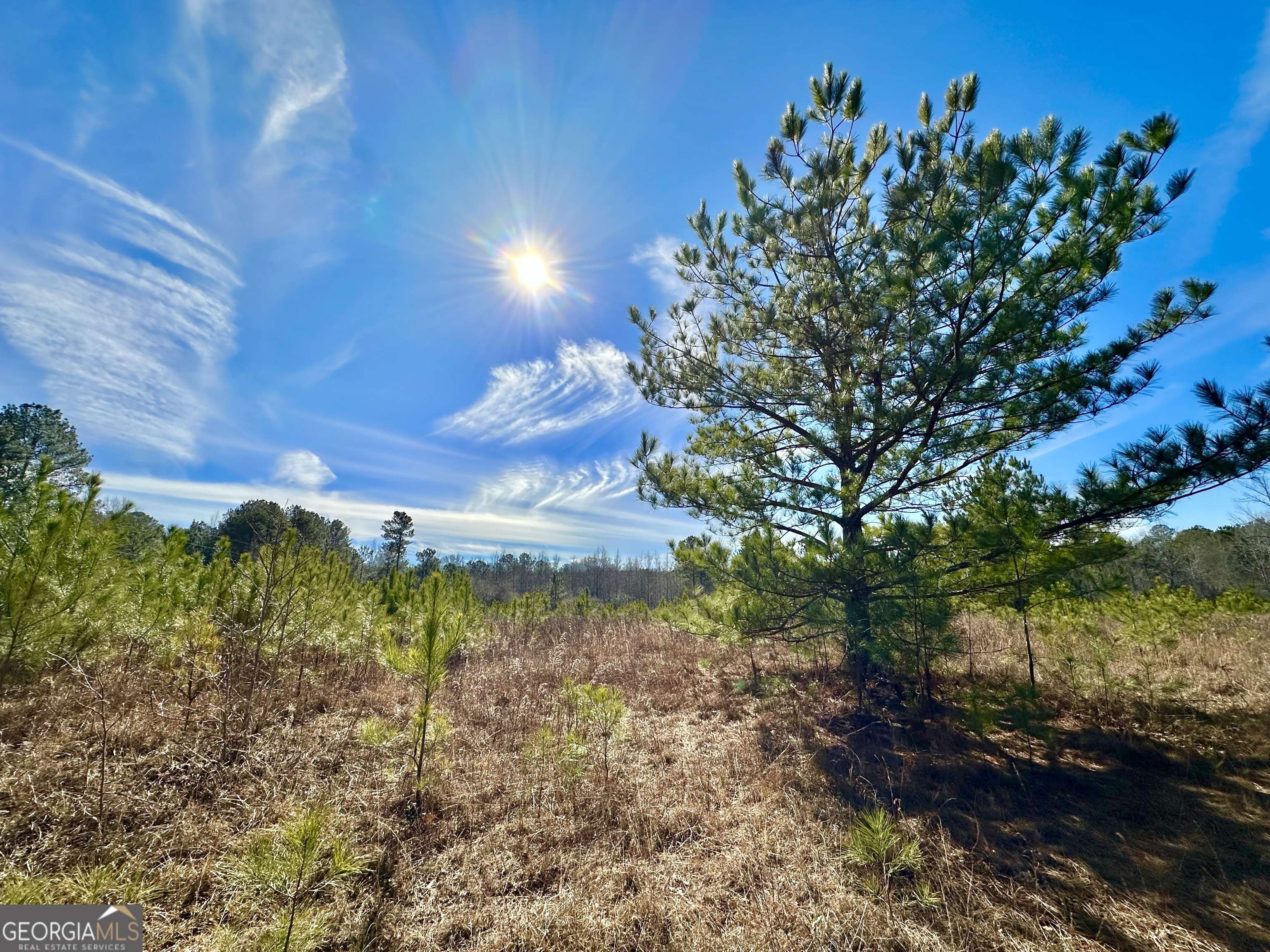 Flovilla, GA 30216,0 Douglas Creek RD