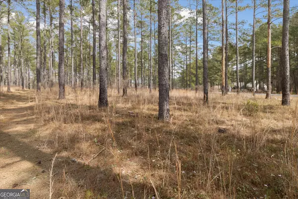 Claxton, GA 30417,14 Pine Ridge DR