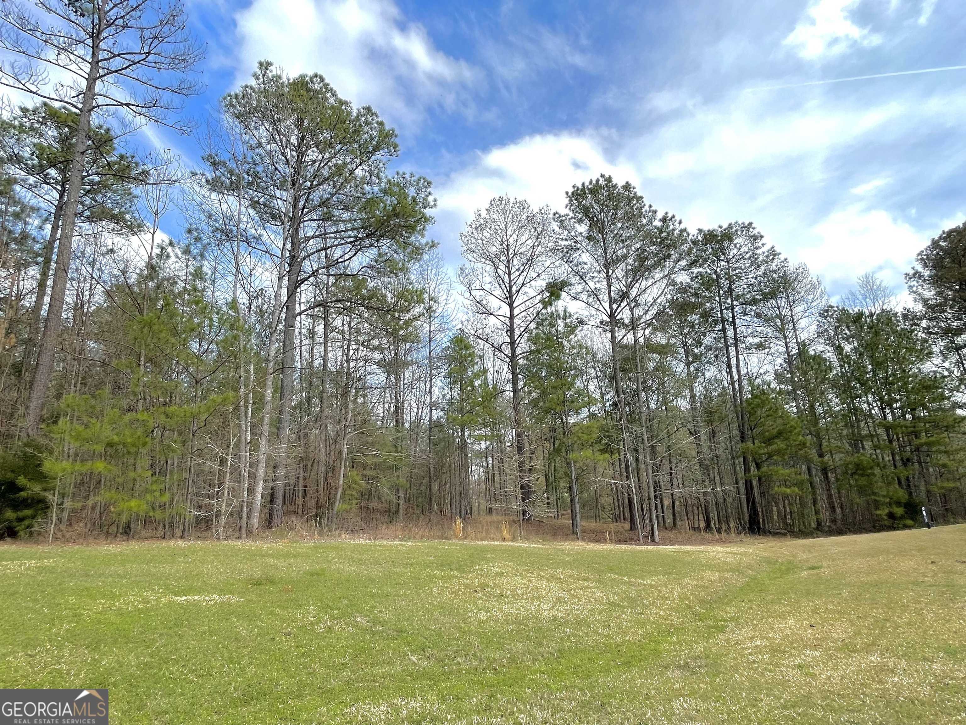 Forsyth, GA 31029,102 Forest Pointe DR