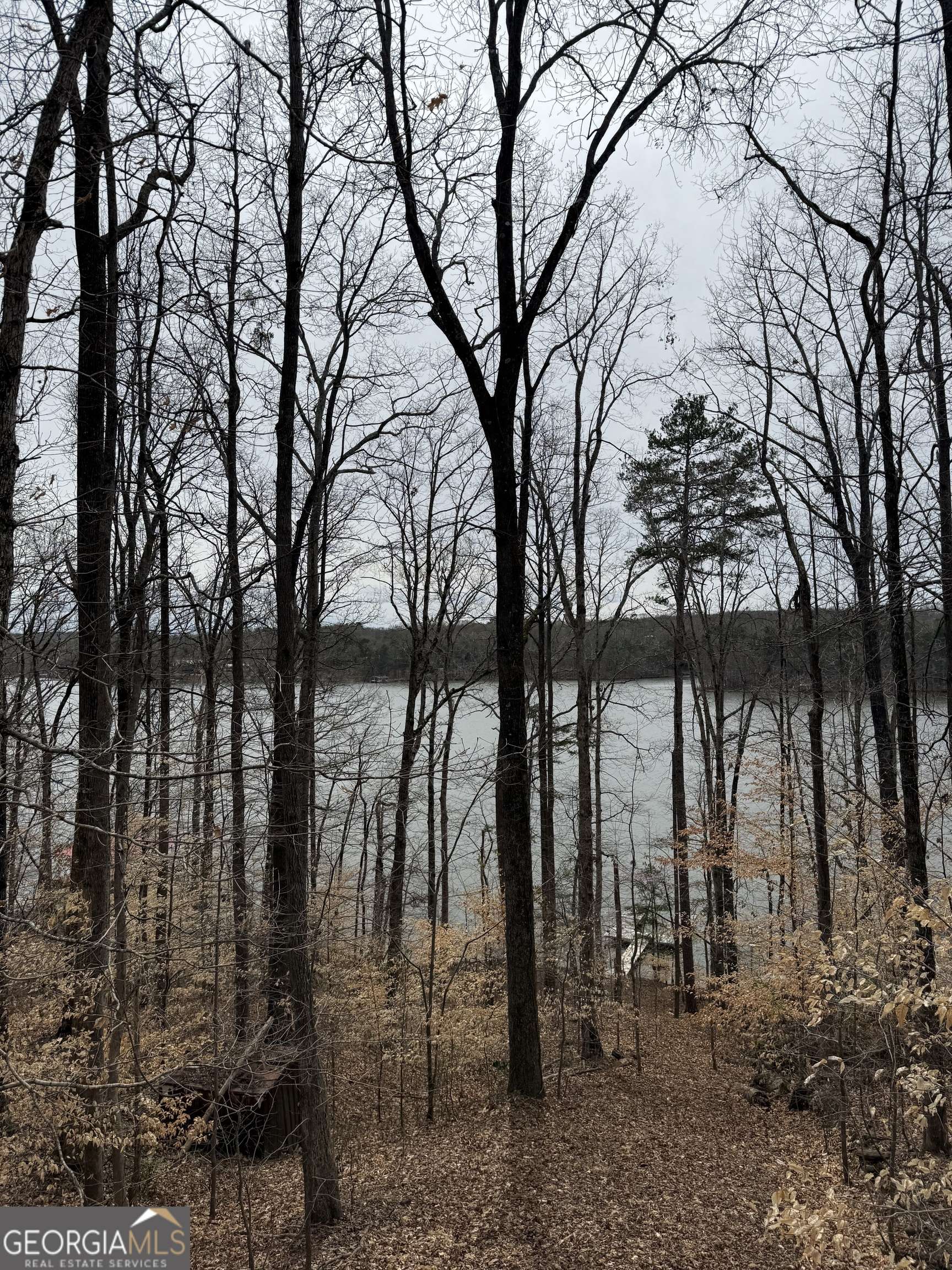 Gainesville, GA 30506,4637 Shoreline LN