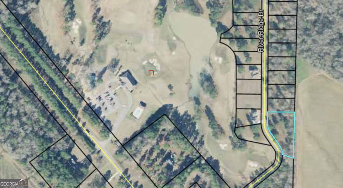 VACANT LOTS River Ridge DR, Hawkinsville, GA 31036