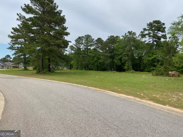 Hawkinsville, GA 31036,VACANT LOTS River Ridge DR