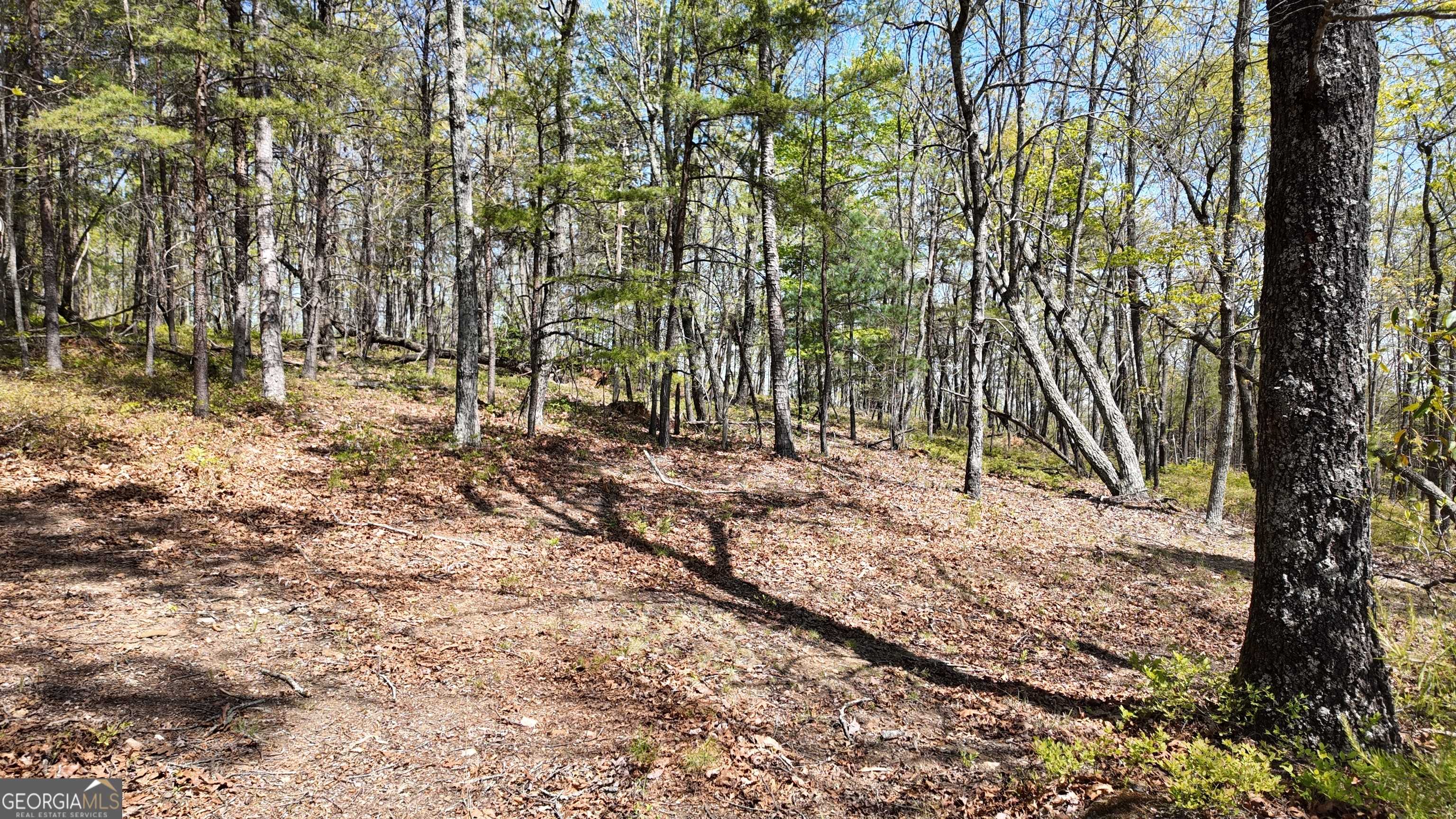 Clarkesville, GA 30523,LOT 20 Heyden Ridge DR