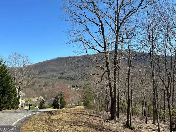 Young Harris, GA 30582,LOT 11 Asheland CV