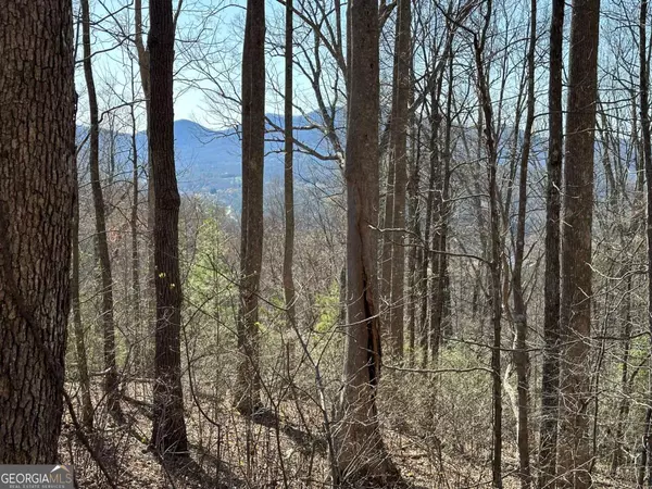 Young Harris, GA 30582,LOT 80 Asheland CV