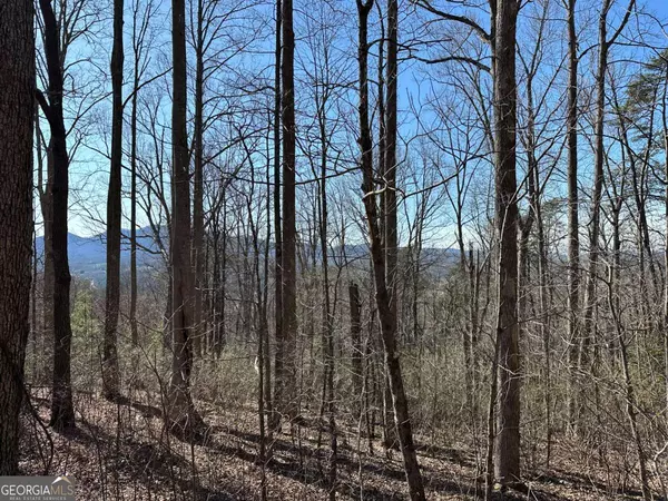 Young Harris, GA 30582,LOT 80 Asheland CV