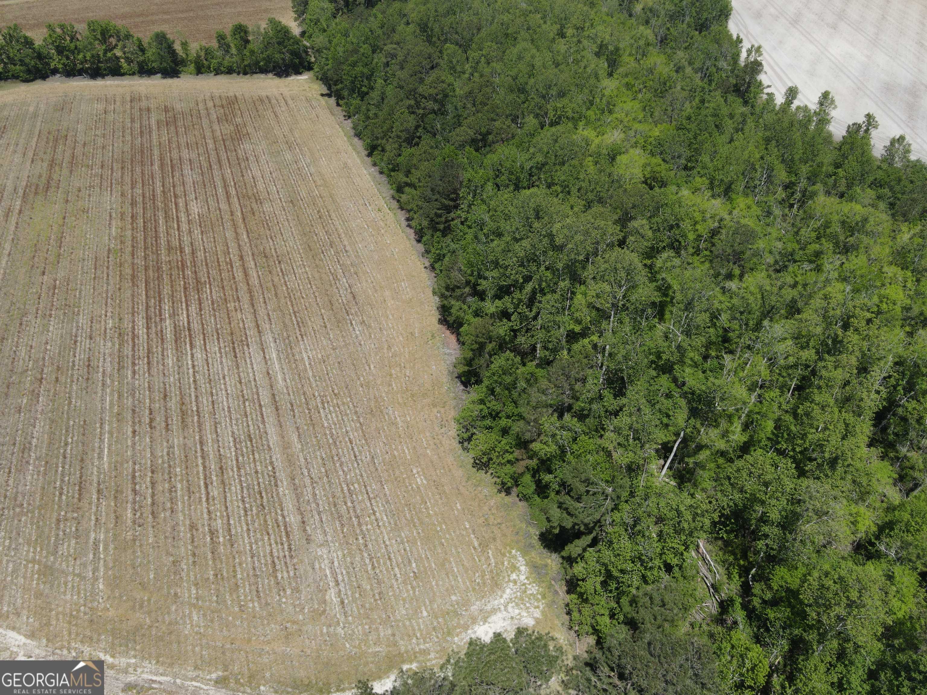 Statesboro, GA 30458,0 Clifton RD #LOT 3