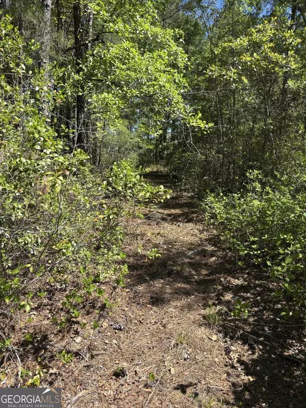 Springfield, GA 31329,0 Rincon Stillwell RD