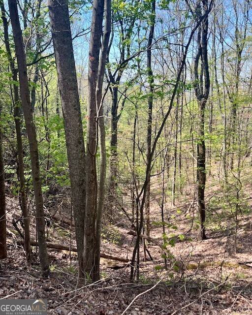 Dawsonville, GA 30534,450 Wild Turkey Bluff