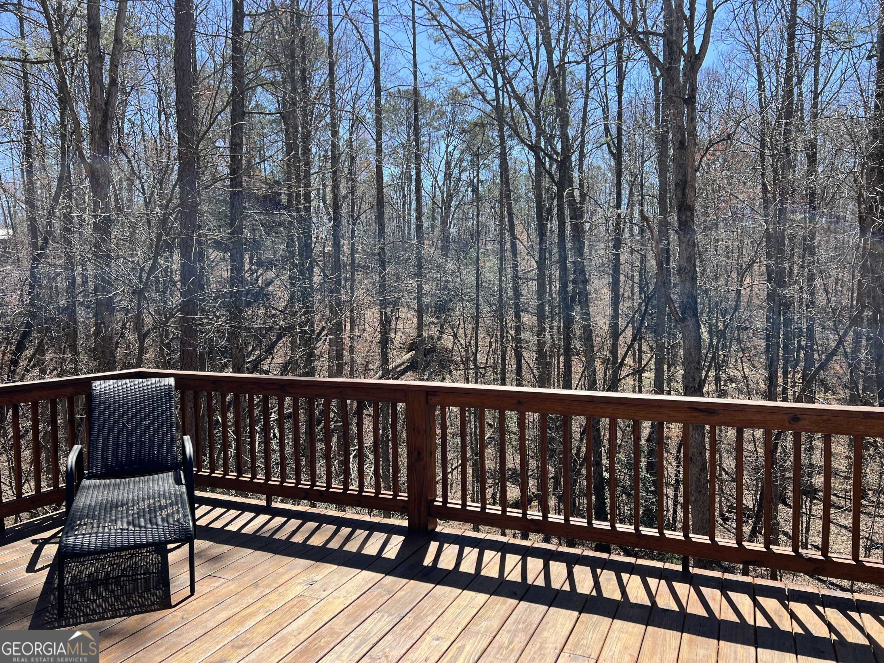 Ellijay, GA 30540,151 Oneida CIR #1,330 SF