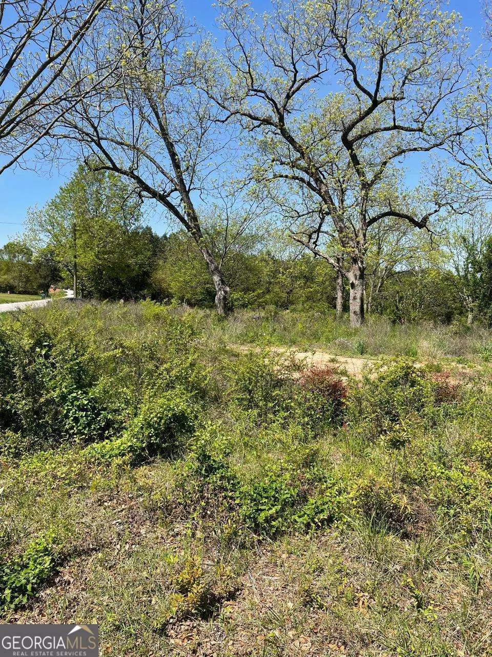 Royston, GA 30662,651 Otis Skelton RD