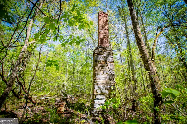 Carrollton, GA 30117,1975 Whooping Creek