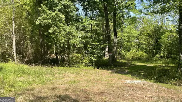 Locust Grove, GA 30248,500 S Unity Grove RD