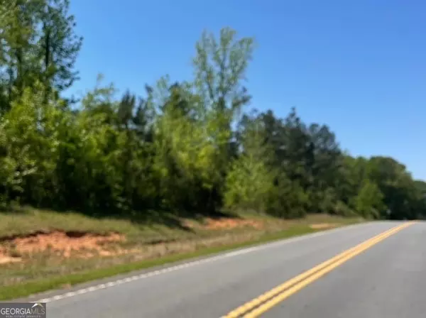 11.68 ACRES GA Hwy 208, Talbotton, GA 31827