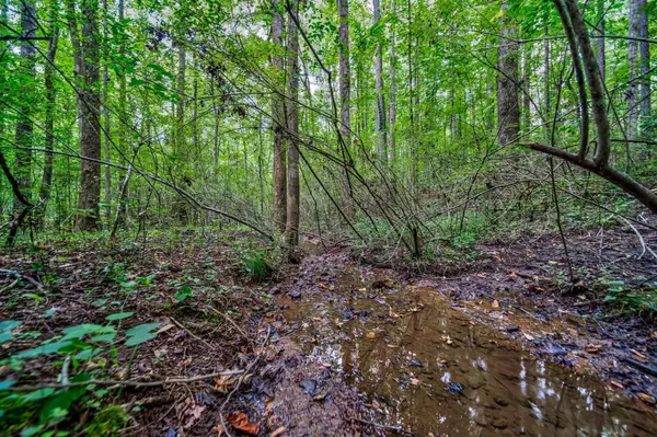 Douglasville, GA 30134,0 Borrow Pit RD