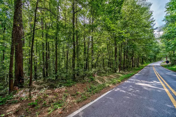 Douglasville, GA 30134,0 Borrow Pit RD