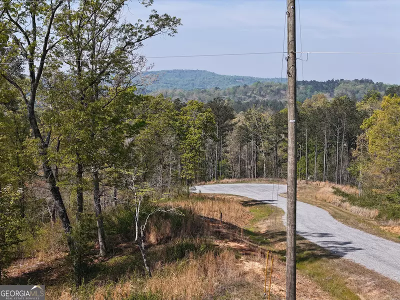 LT 20 Blalock Mountain RD, Ellijay, GA 30540