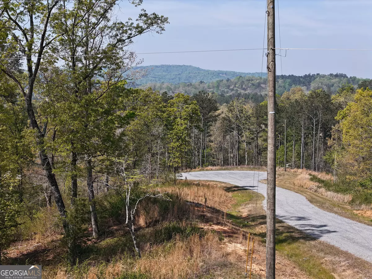 Ellijay, GA 30540,LT 20 Blalock Mountain RD