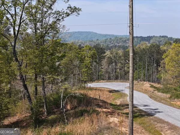 LT 20 Blalock Mountain RD, Ellijay, GA 30540