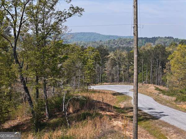 LT 20 Blalock Mountain RD, Ellijay, GA 30540