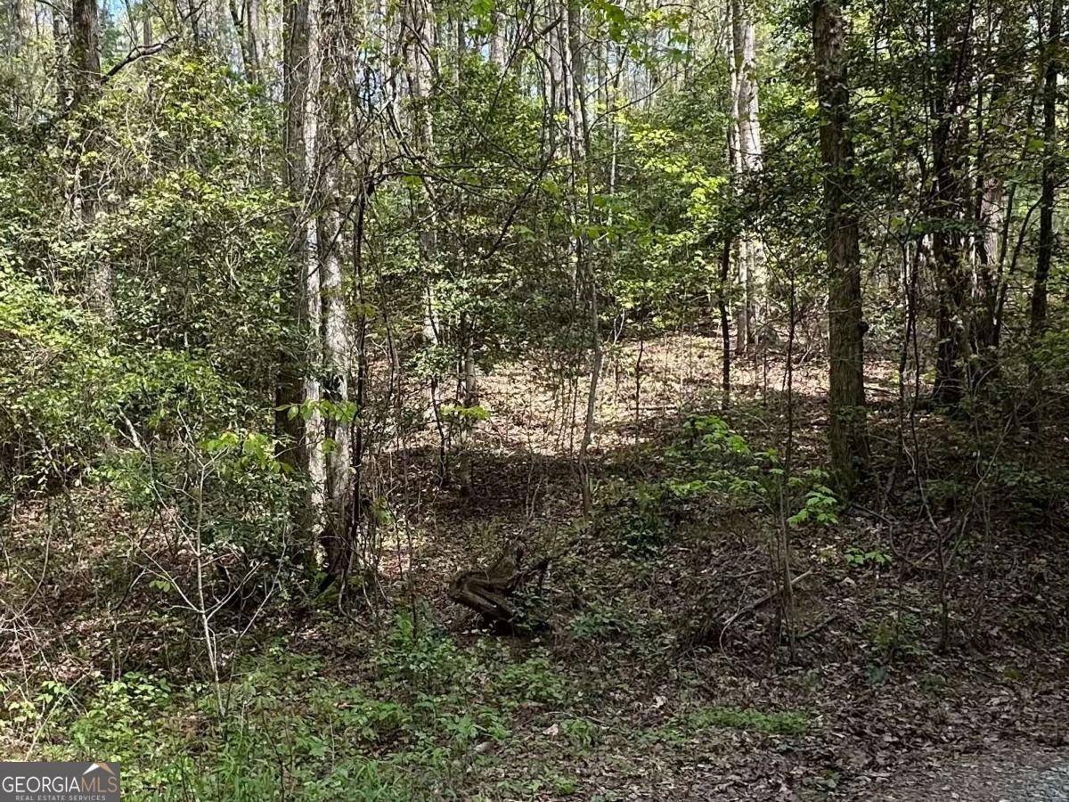 Ellijay, GA 30540,LOT 20 Big Ben RD #20