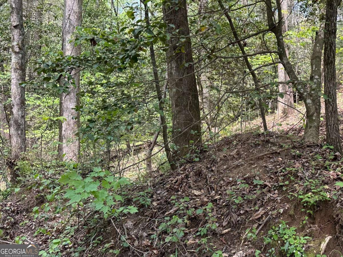Ellijay, GA 30540,LOT 20 Big Ben RD #20