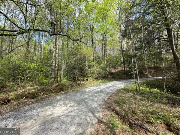 Ellijay, GA 30540,LOT 20 Big Ben RD #20