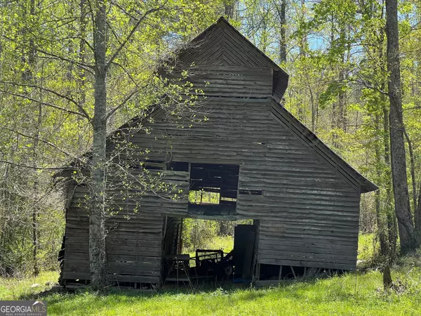 Ellijay, GA 30540,0 Stone Pile Gap RD