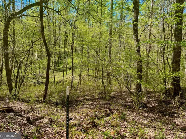 Ellijay, GA 30540,0 Stone Pile Gap RD