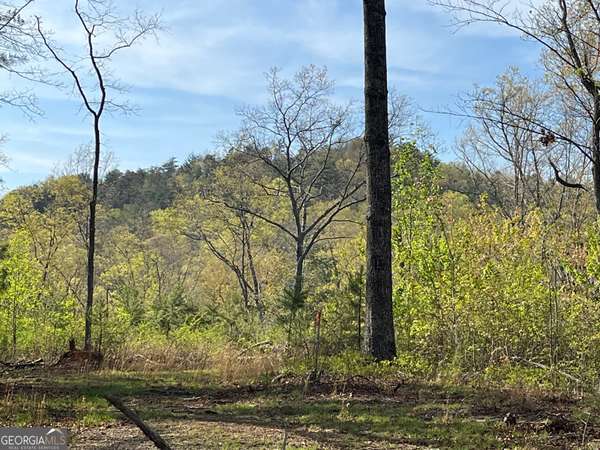 0 Stone Pile Gap RD, Ellijay, GA 30540