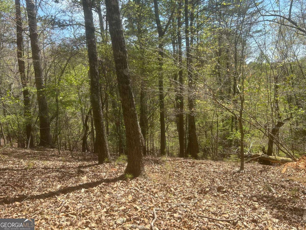 Ellijay, GA 30540,LT1944 Palmetto DR #1944