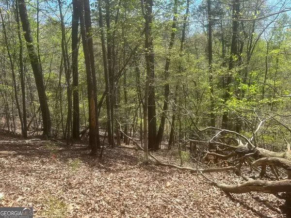 Ellijay, GA 30540,LT1944 Palmetto DR #1944