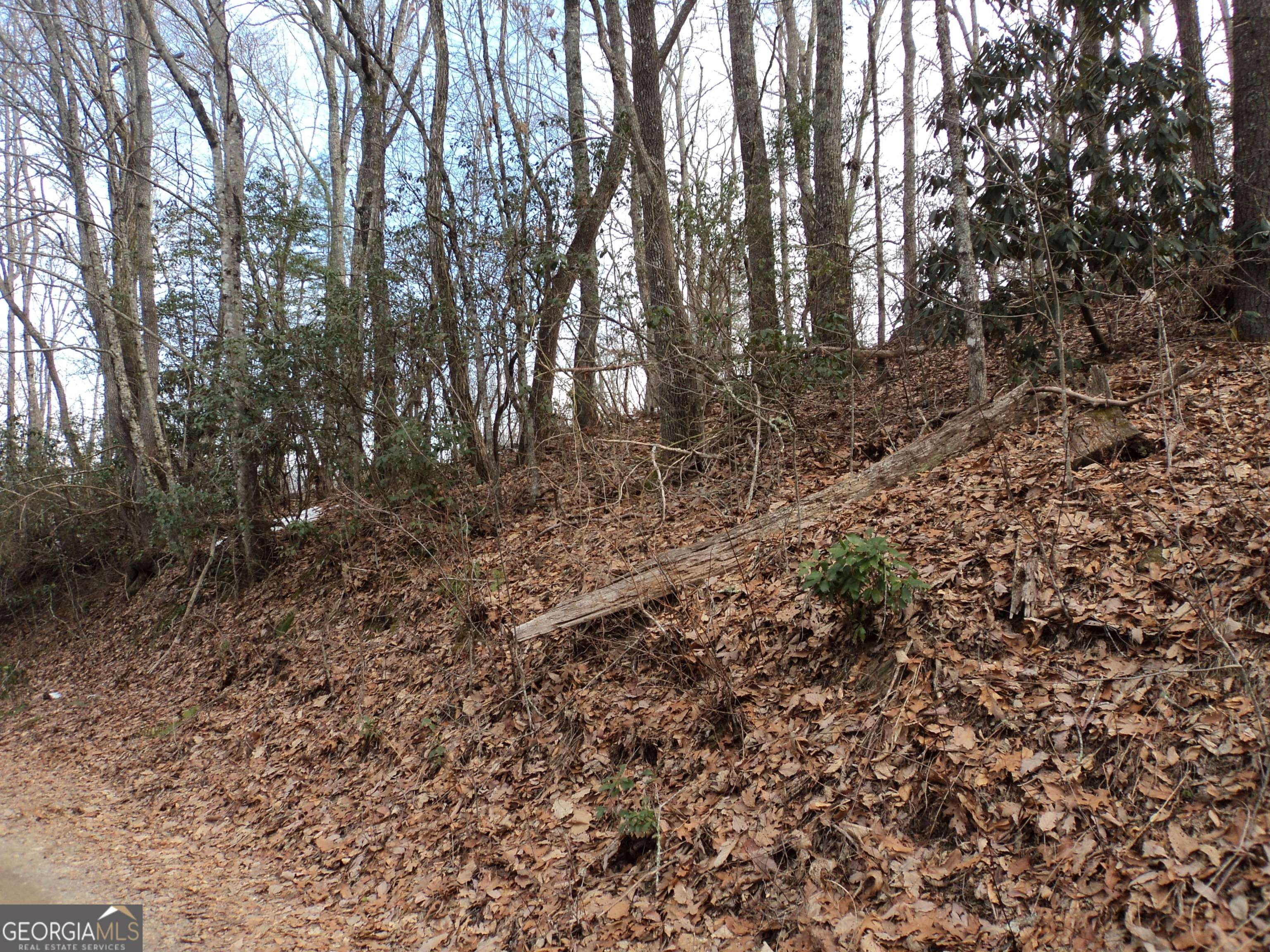 Scaly Mountain, NC 28775,0 Evans Creek RD