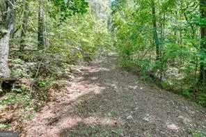 Adairsville, GA 30103,294 NW Old Dixie HWY
