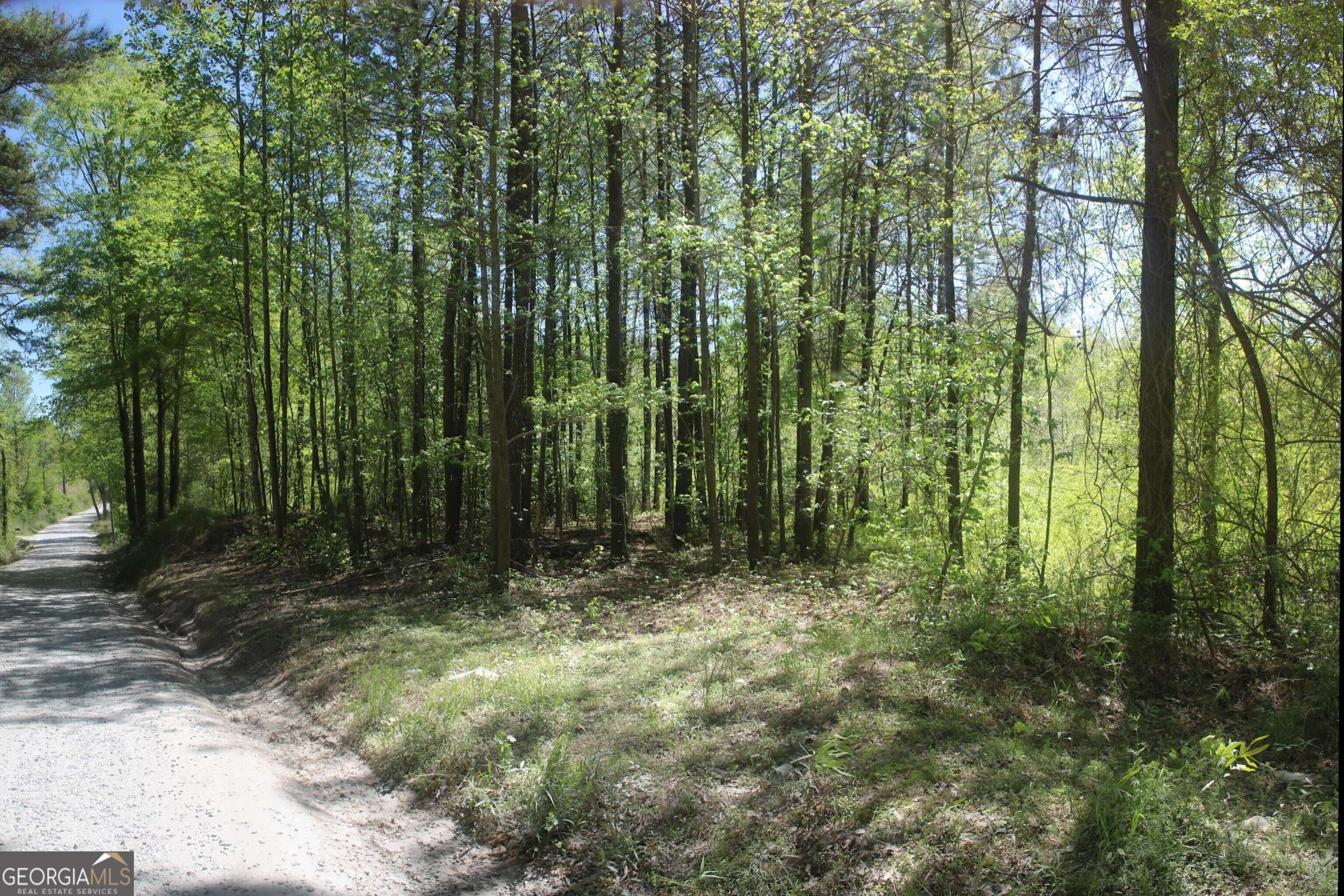 Maysville, GA 30558,0 Hembree
